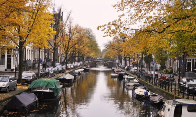 The magic of autumn