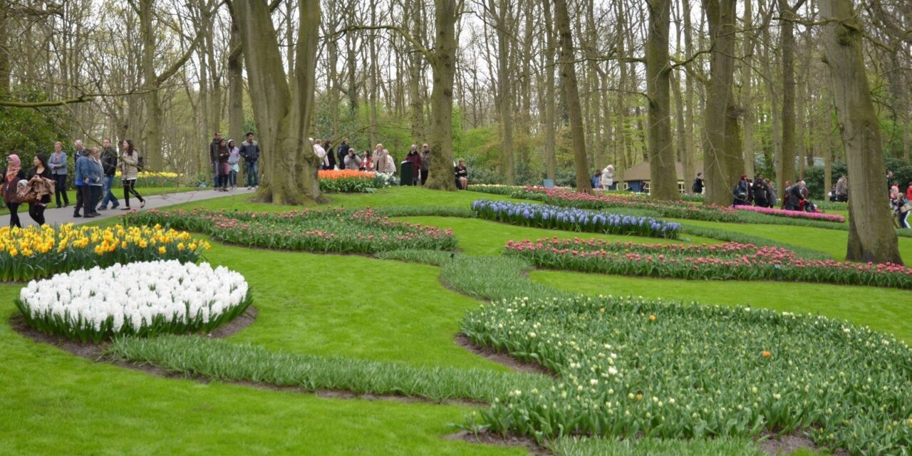 Visiting Keukenhof — part 1