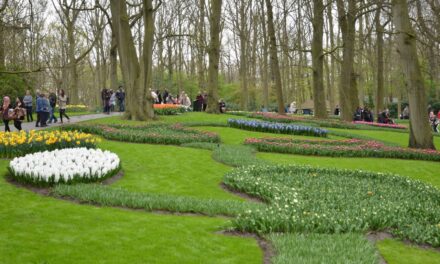 Visiting Keukenhof — part 1