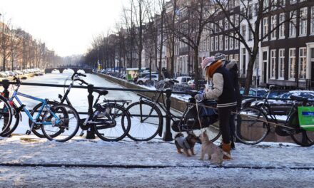 Finding love on a Winter’s day
