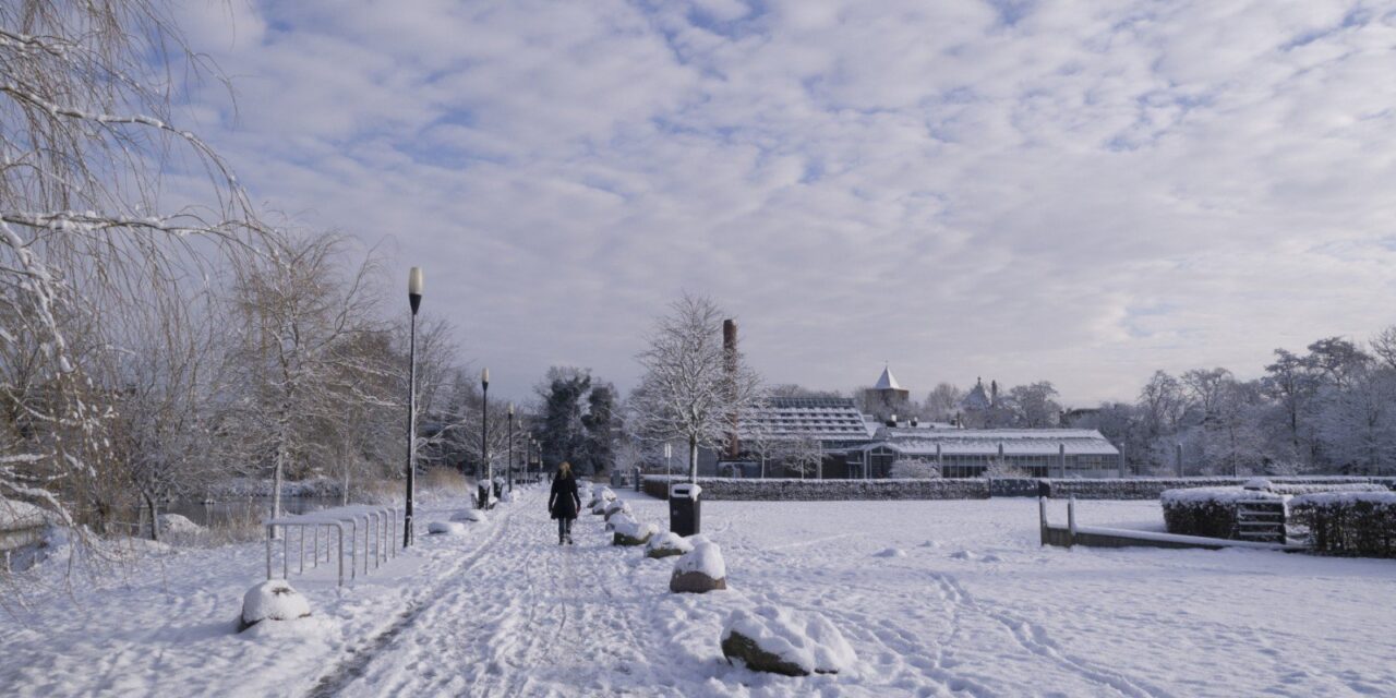 Winter Sunday morning in the park