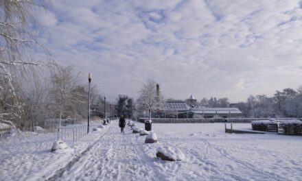 Winter Sunday morning in the park