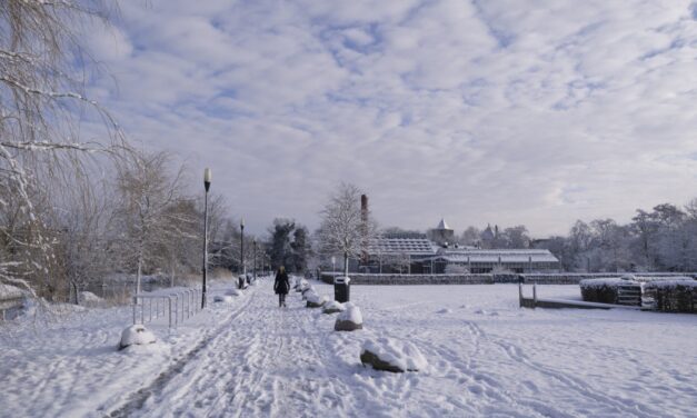 Winter Sunday morning in the park