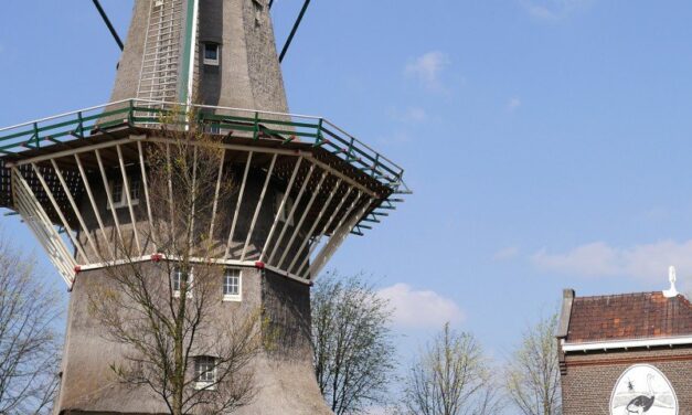 A beer at the windmill: Brouwerij ‘t Ij