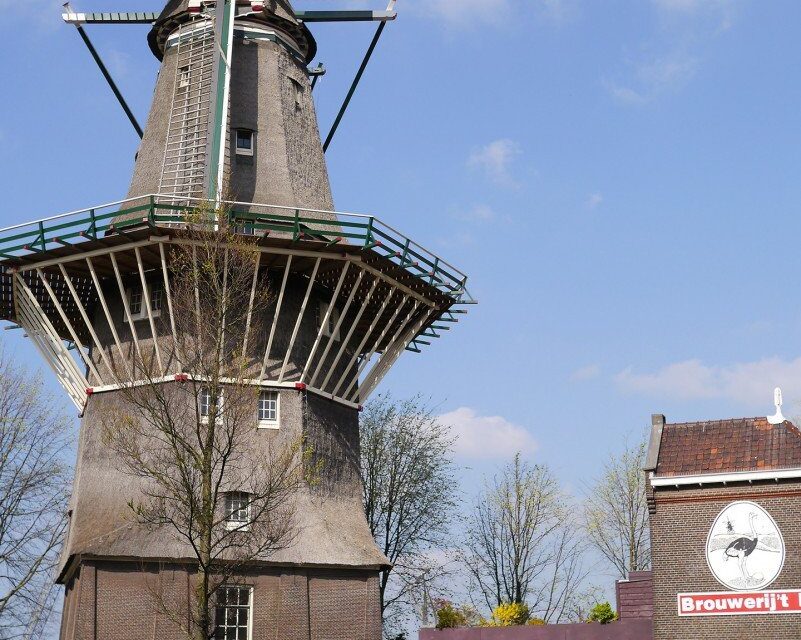 A beer at the windmill: Brouwerij ‘t Ij