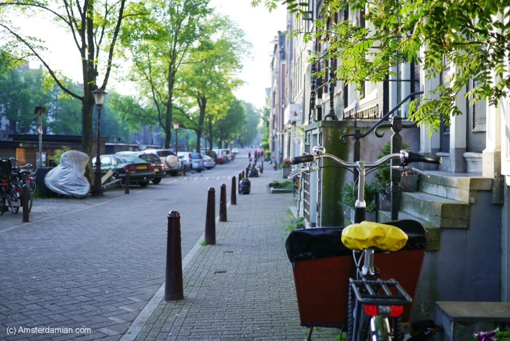 A vibrant street in Amsterdam features a bicycle with a yellow bag, brick pavement, and lush green trees lining a canal