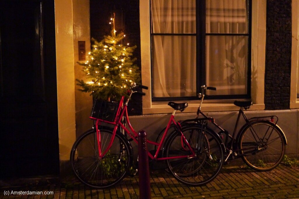 Two bicycles rest against a building adorned with a lit-up Christmas tree, creating a festive holiday scene at night