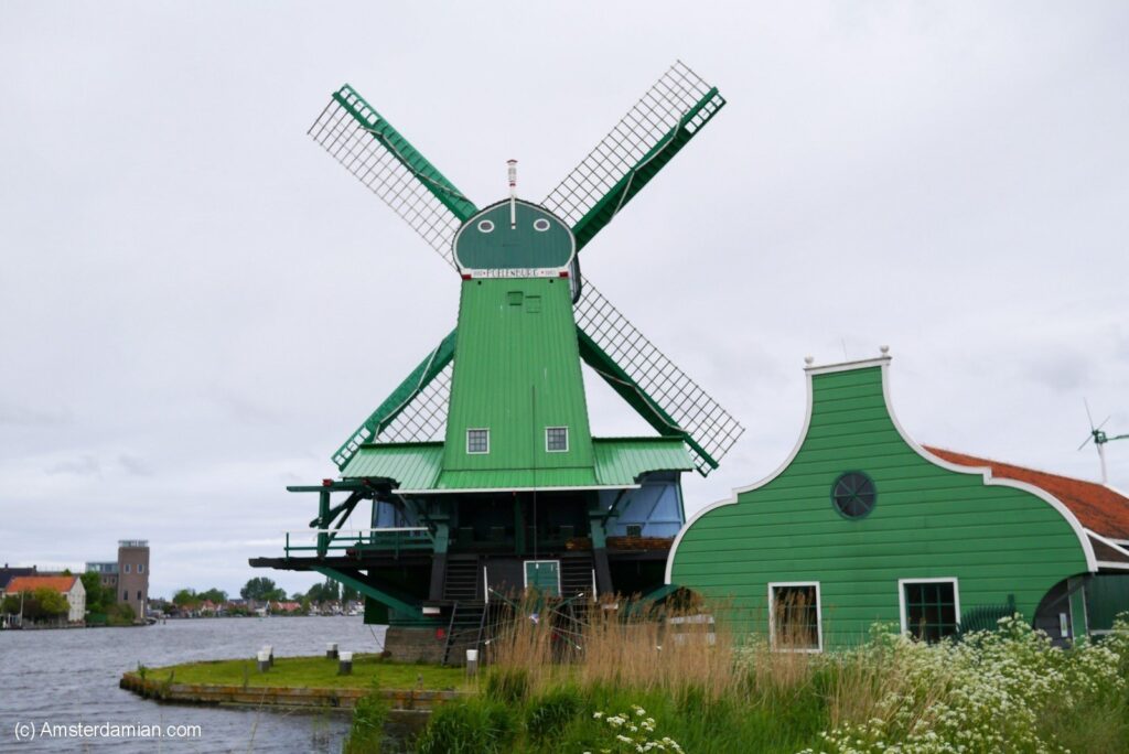 A vibrant green windmill stands beside a river in Zaanse Schans, Netherlands, with white flowers and traditional Dutch architecture in the foreground under an overcast sky