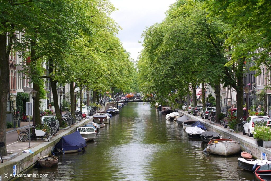 A serene canal scene in Amsterdam on a sunny day, lined with lush green trees and boats docked along the banks
