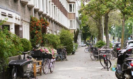 A walk in the lovely Oud-Zuid neighbourhood
