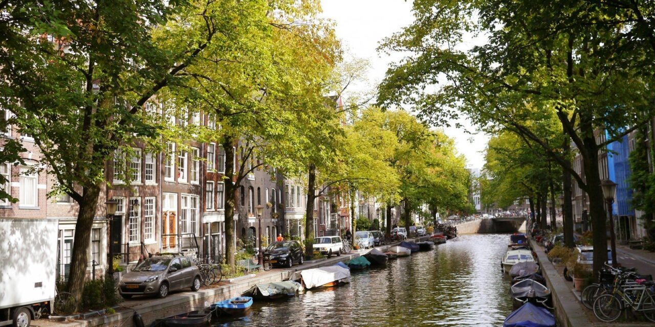 The autumn is not yellow yet