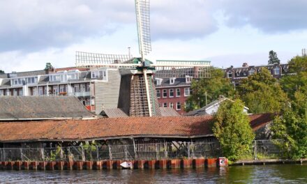 The Wild Wild West of Amsterdam