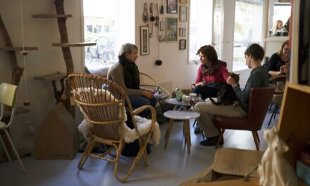 Amsterdam Cat Café: Kattencafé Kopjes