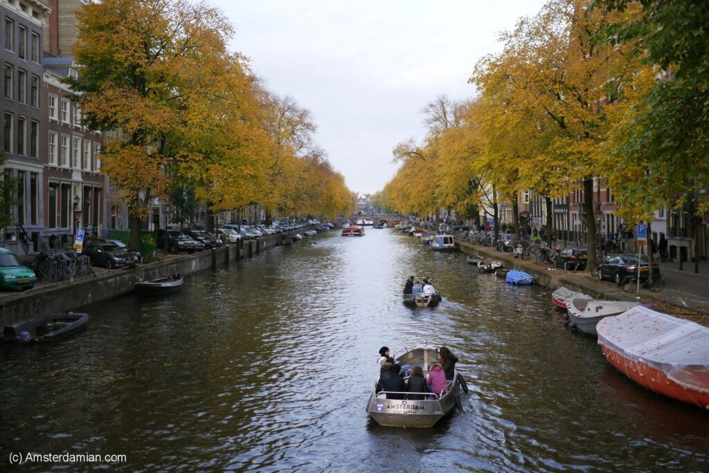 A serene Amsterdam canal scene in autumn, with yellow-leaved trees lining both sides and people enjoying a boat ride under an overcast sky