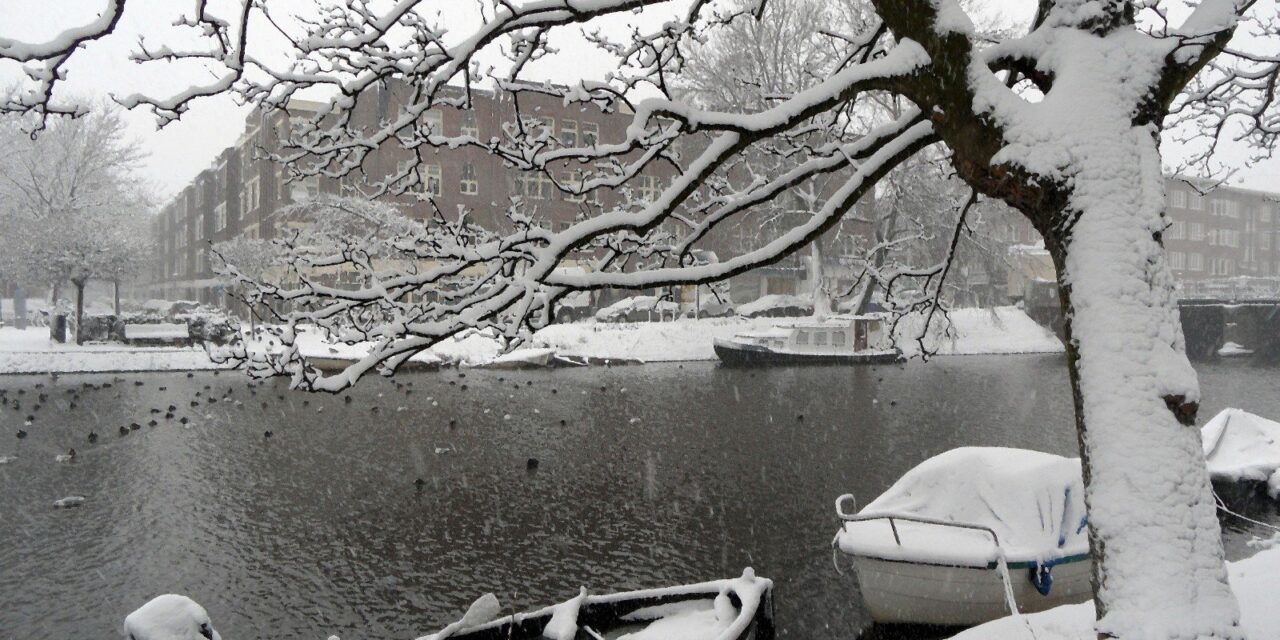 White winter in Amsterdam