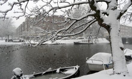 White winter in Amsterdam