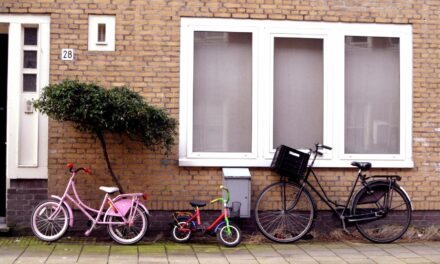 Bicycle invasion