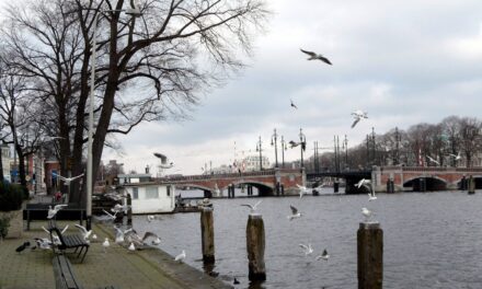 Amsteldijk
