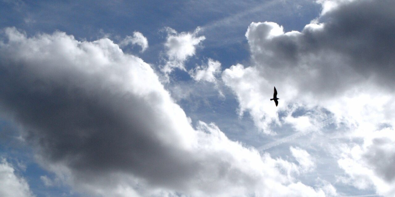 Dutch sky