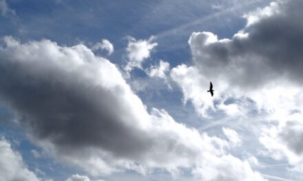 Dutch sky