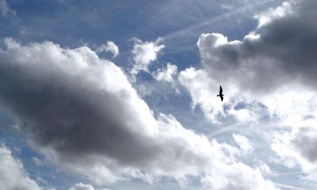 Dutch sky