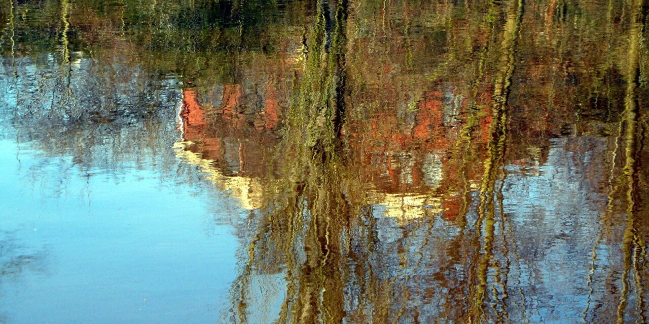 Reflections of the city
