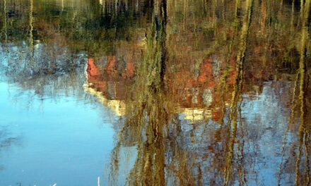 Reflections of the city