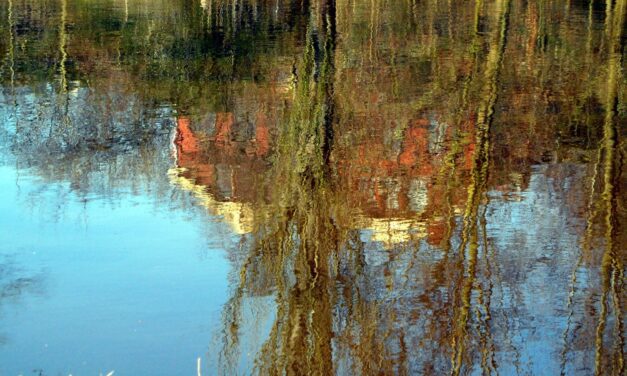 Reflections of the city