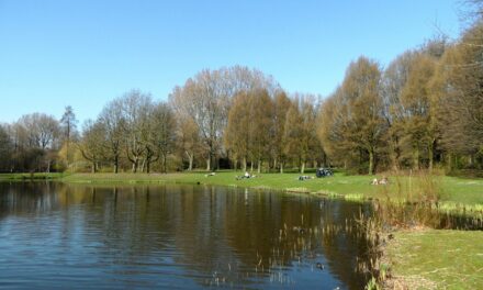 Beatrixpark in Amsterdam