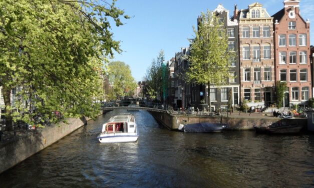 Fresh green over the canals