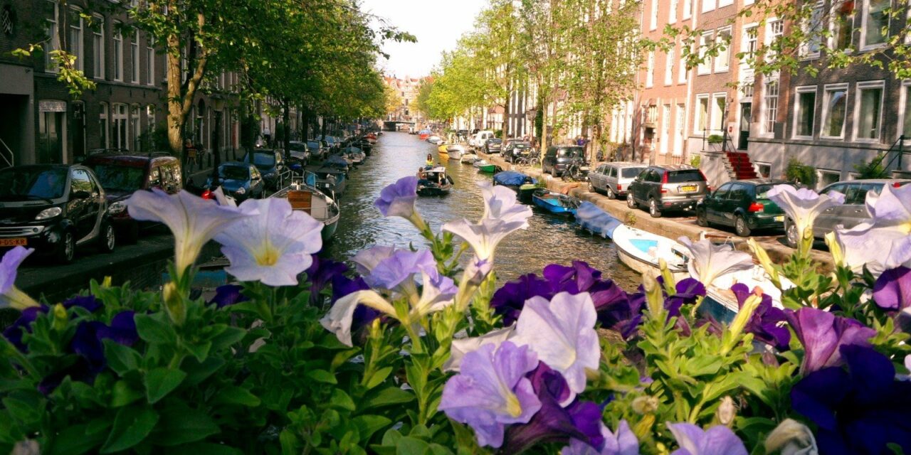 Summer days in Amsterdam