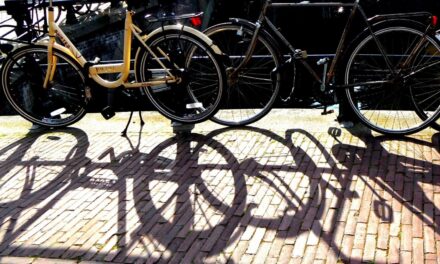 Amsterdamian beauty
