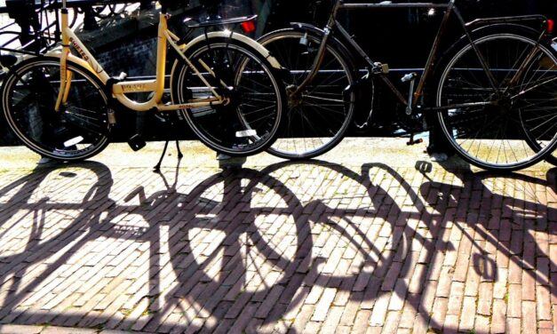Amsterdamian beauty
