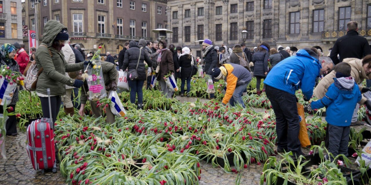 National Tulip Day