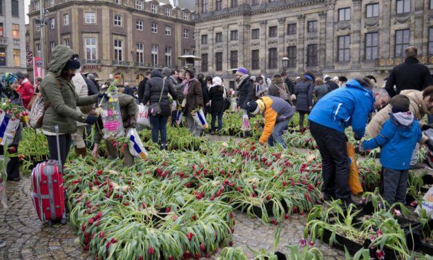 National Tulip Day