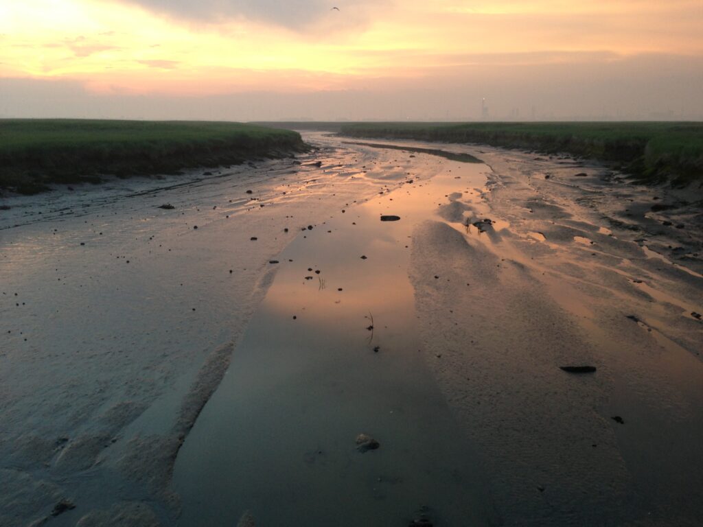 Verdronken_Land_van_Saeftinghe