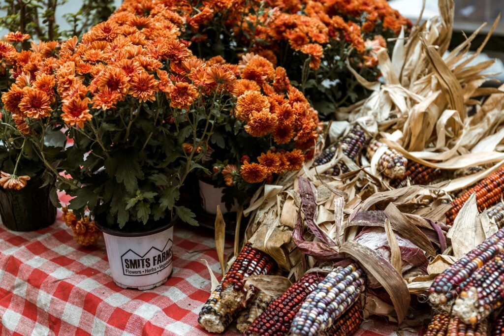 Autumn market