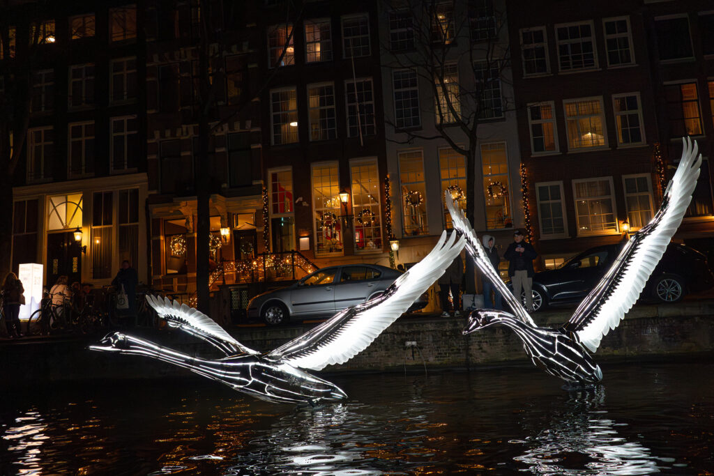 Swans. Amsterdam Light festival 2025