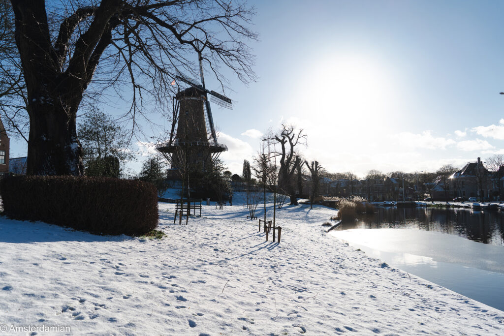 Alkmaar 2026 snow_7