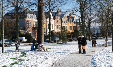 First snow of 2026 in Alkmaar
