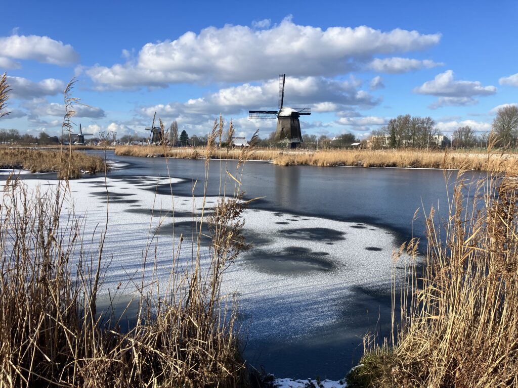 Strijkmolen D Alkmaar in the snow