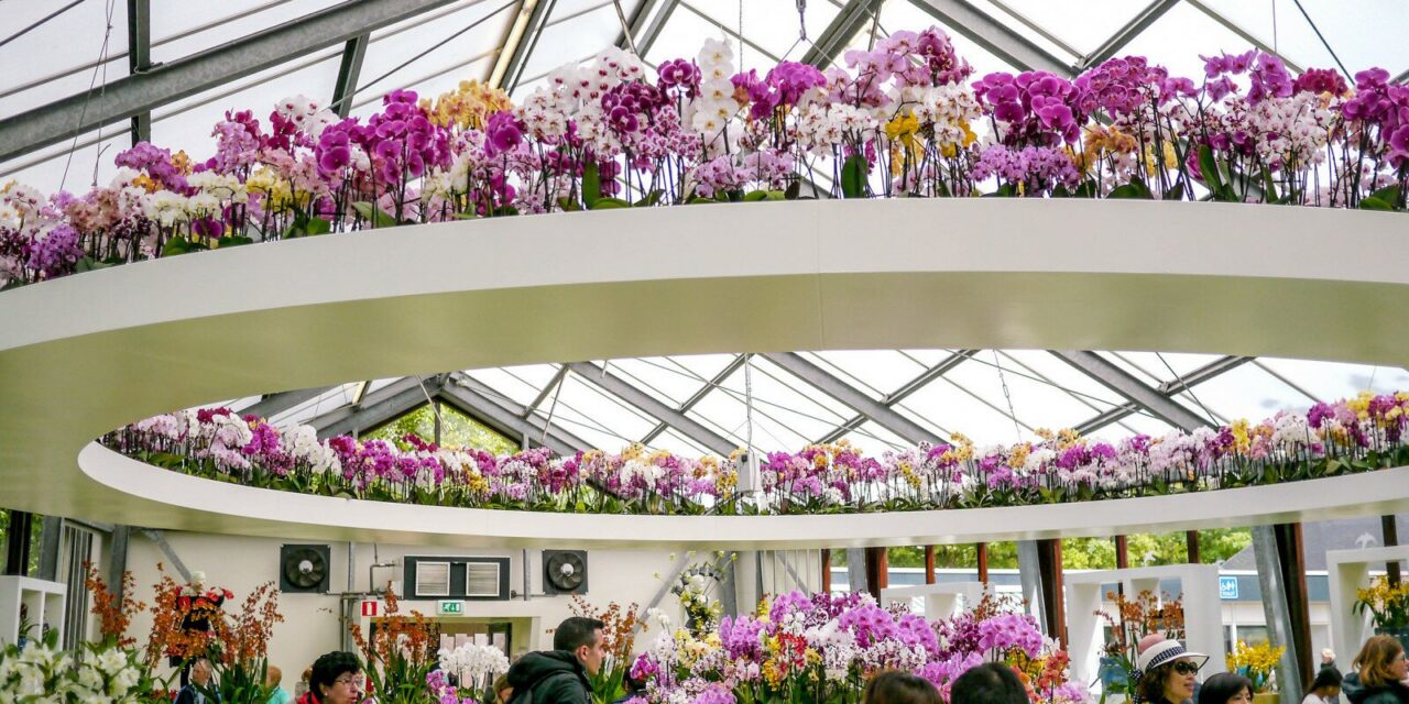 Beyond the Garden Paths: Keukenhof’s Four Pavilions