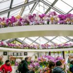 Beyond the Garden Paths: Keukenhof’s Four Pavilions