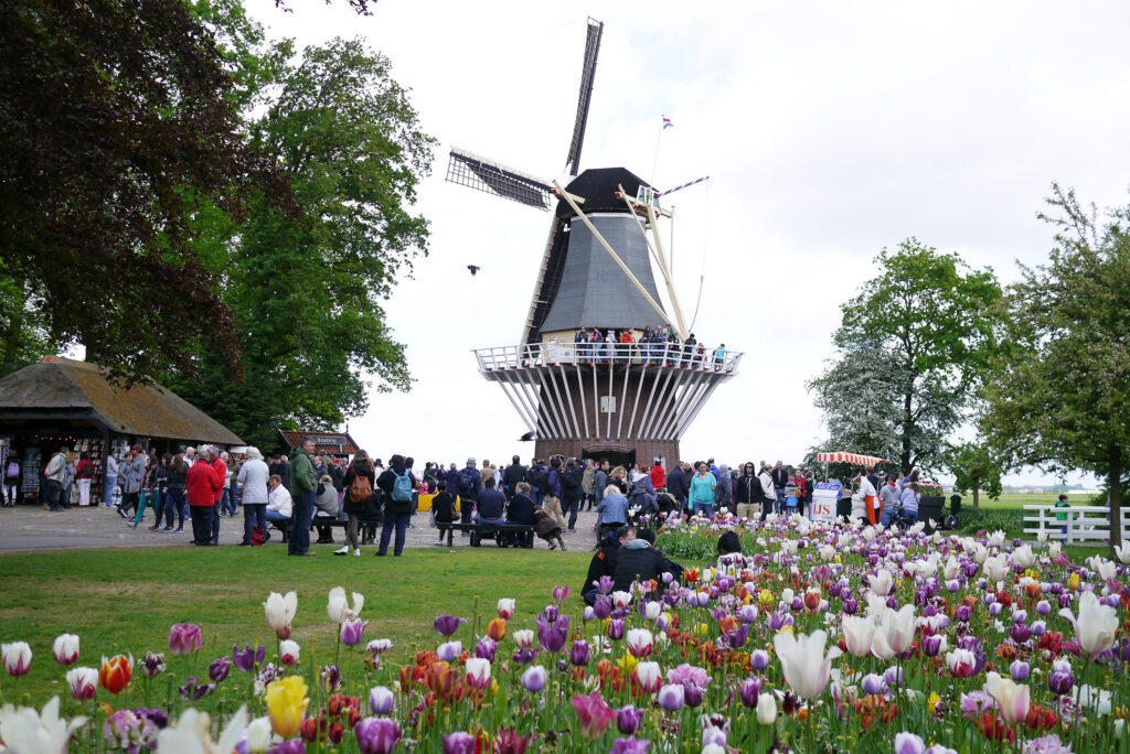 Windmill at Keukenhof