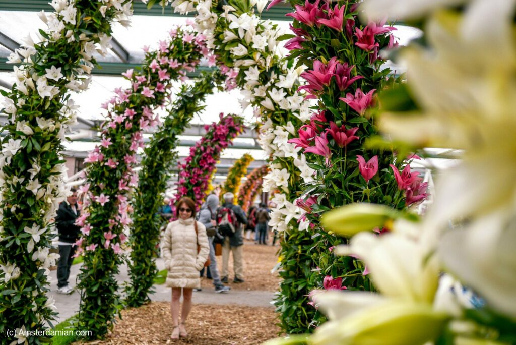 Keukenhof Gardens Pavilion lilies