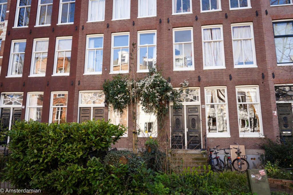 A beautiful street in Amsterdam Plantage area