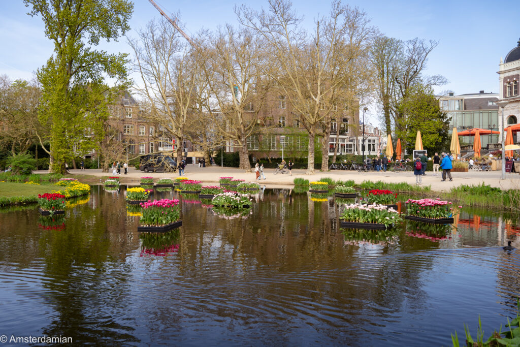 Amsterdam Floating tulips Vondelpark