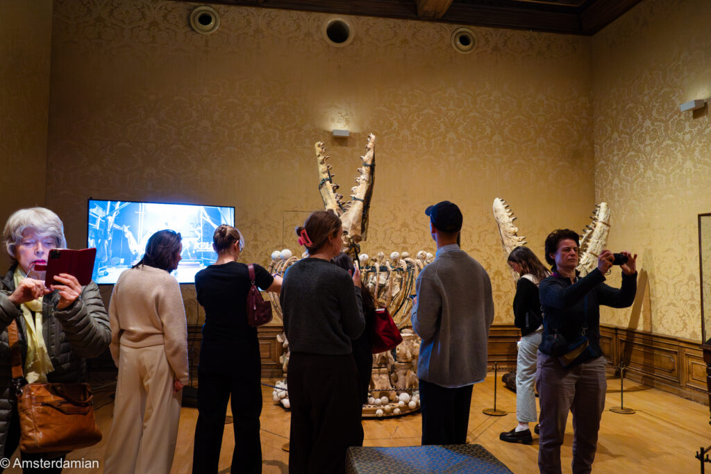 People taking photos at RELICS exhibition at the Art Zoo Musuem