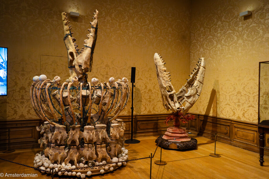 Fossils art at the Relics exhibition