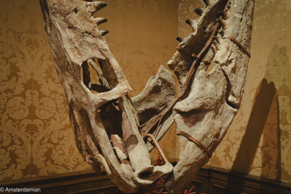 Detail of fossil art at the Relics exhibition